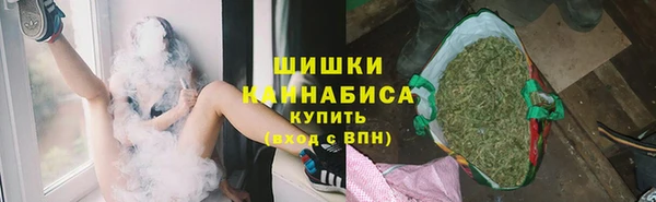 ECSTASY Белокуриха
