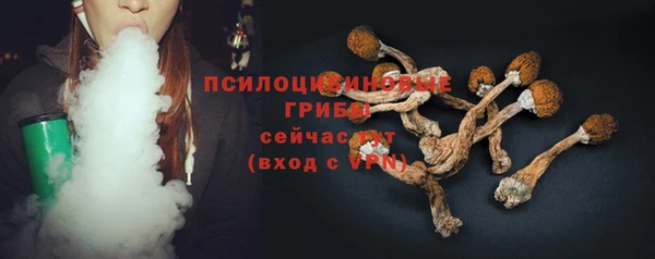 ECSTASY Белокуриха