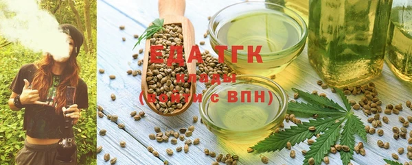 ECSTASY Белокуриха