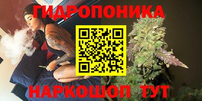mdpv Ачхой-Мартан