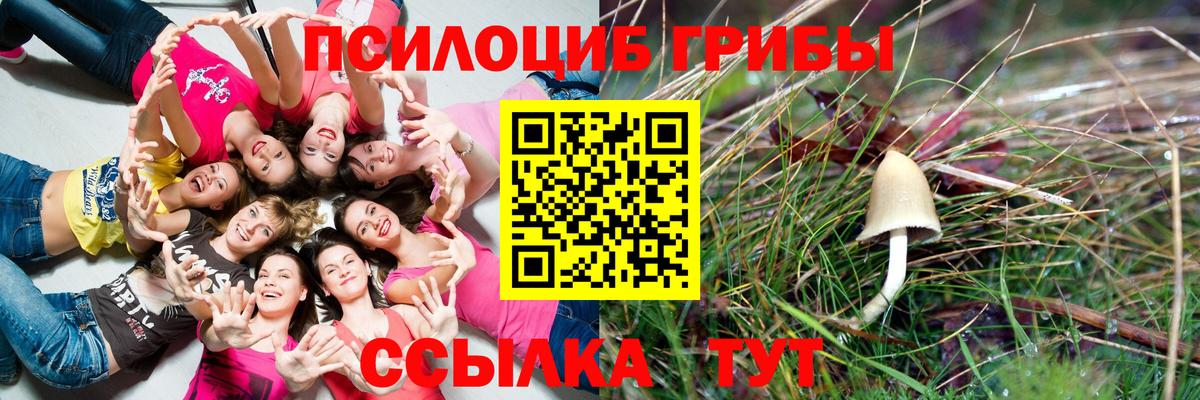 Галлюциногенные грибы Magic Shrooms  Псилоцибиновые грибы Magic Shrooms  Вход с VPN  Верхняя Пышма 