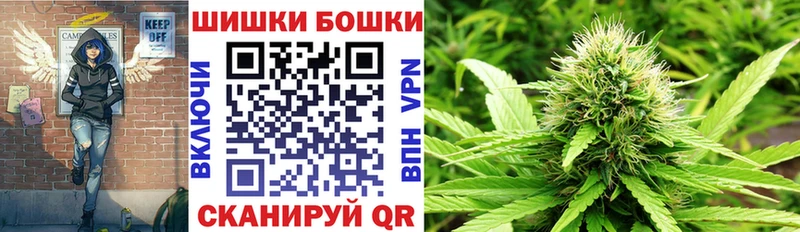 как найти закладки  Верхняя Пышма  Шишки марихуана тримм 