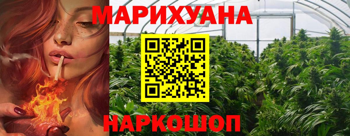 Бошки марихуана сатива Верхняя Пышма